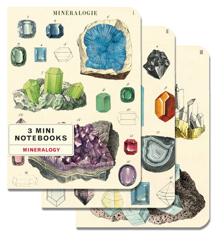 Mineralogie Mini Notebooks (Set of 3)