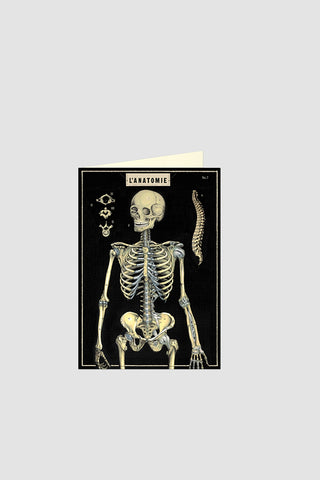 Skeleton Greeting Card