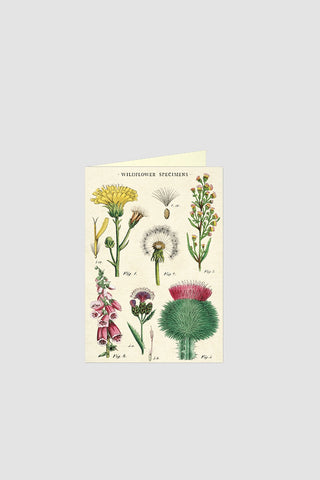 Wildflower Greeting Card